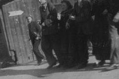 1951-006