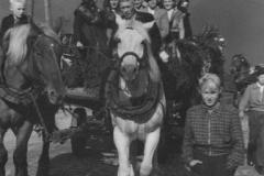 1951-007