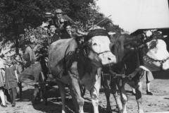 1953-004