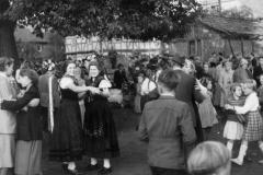 1954-001