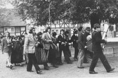 1976-4