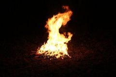 IMG_0391