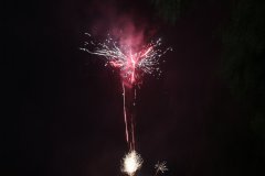 IMG_0485