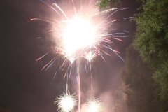 IMG_0499