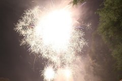 IMG_0501