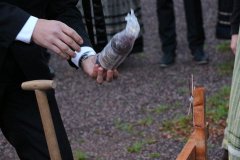 IMG_3782