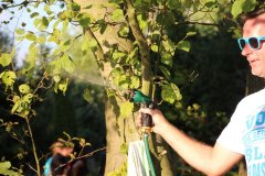 IMG_0387