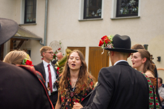 IMGP6849