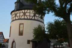 SNP_4082